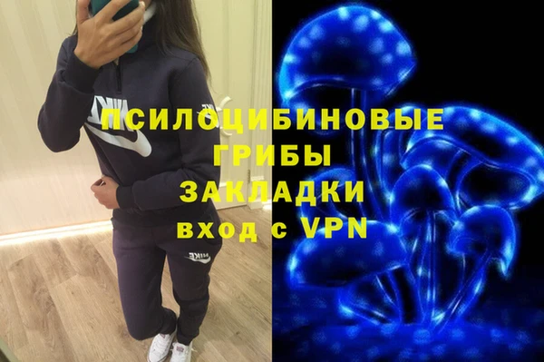 ПСИЛОЦИБИНОВЫЕ ГРИБЫ Абинск