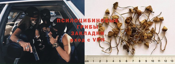 марихуана Абаза