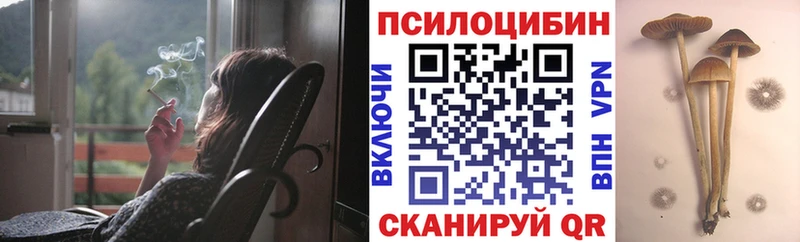 Псилоцибиновые грибы Cubensis  купить наркоту  Новокузнецк 